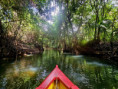 /album/fotogaleria-karibik-island-hopping-zajazd-vy-a-my/tobago-barbados-st-lucia-dominica-45-jpg1/